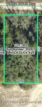 13012 Rock Duck Avenue, Weeki Wachee, FL 34614 - Image #2