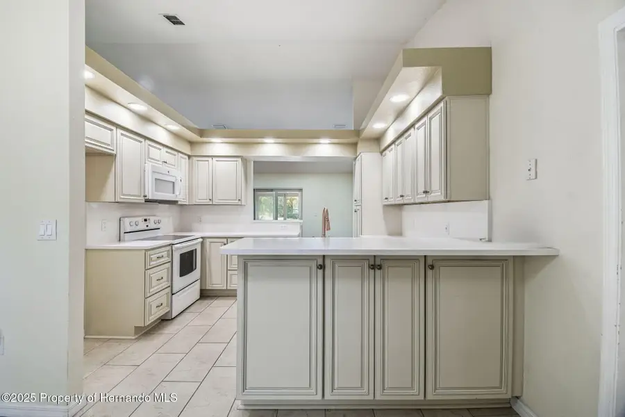 7021 Oregon Chickadee Road, Weeki Wachee, FL 34613 - Image #3