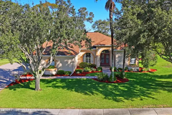 4484 Secretariat, Spring Hill, FL 34609