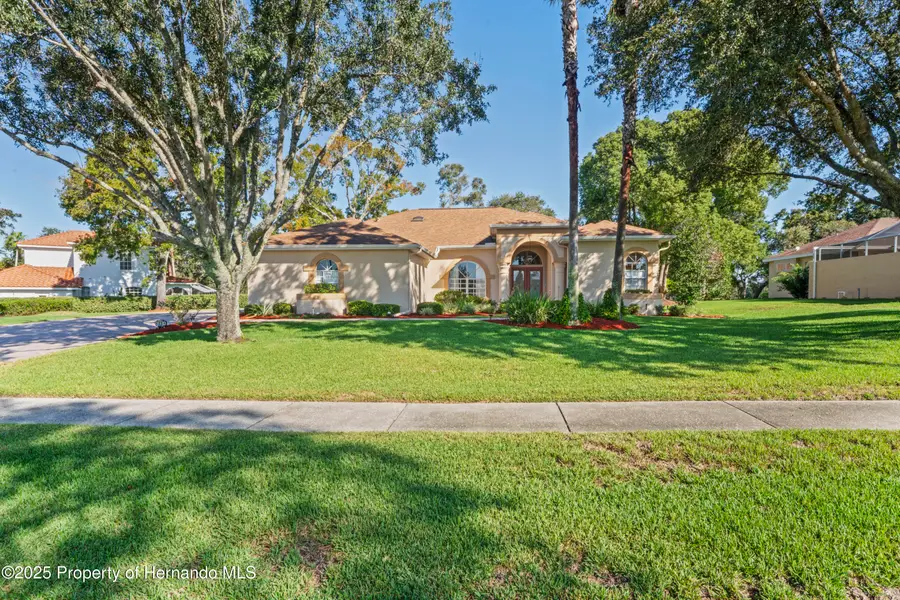 4484 Secretariat, Spring Hill, FL 34609 - Image #3