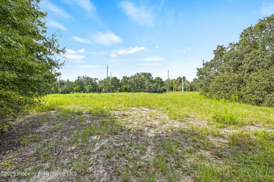 0 County Line Road, Spring Hill, FL 34609 - Image #3