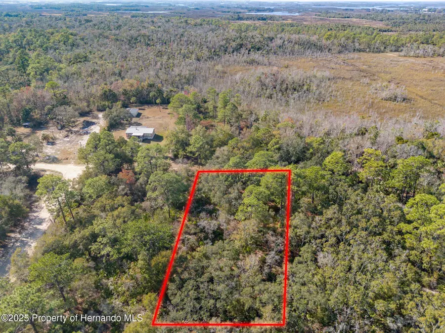 419 N Vesper Point, Crystal River, FL 34429 - Image #3