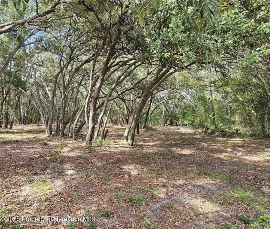 33175 Faculty Street, Webster, FL 33597 - Image #3