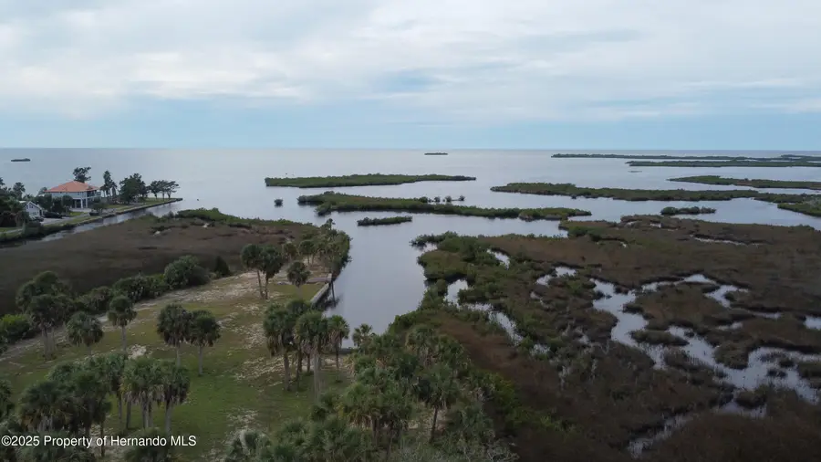 3217 Shine Lane, Spring Hill, FL 34607 - Image #2