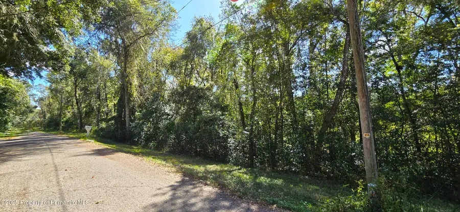 0 Fitzhugh Avenue, Brooksville, FL 34601 - Image #2