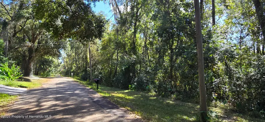 0 Fitzhugh Avenue, Brooksville, FL 34601 - Image #2