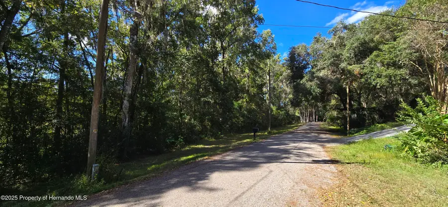 0 Fitzhugh Avenue, Brooksville, FL 34601 - Image #3