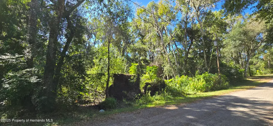 0 Foreside Avenue, Brooksville, FL 34601 - Image #3