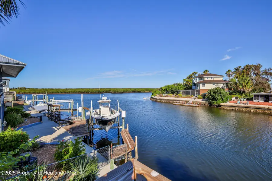 3285 Minnow Creek Drive, Hernando Beach, FL 34607 - Image #3