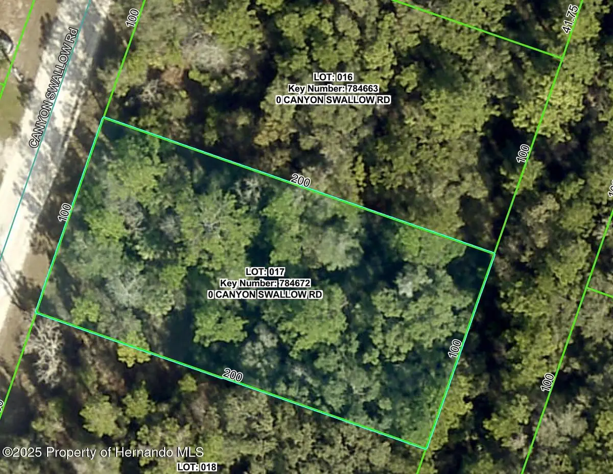 Lot 17 Canyon Swallow Road, Weeki Wachee, FL 34614 - Image #1