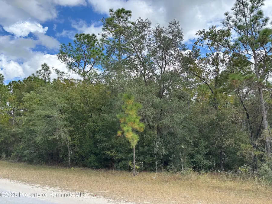 Lot 19 Canyon Swallow Road, Weeki Wachee, FL 34614 - Image #2