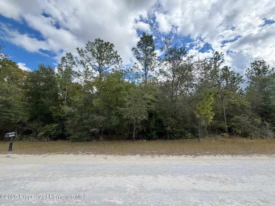 Lot 19 Canyon Swallow Road, Weeki Wachee, FL 34614 - Image #3