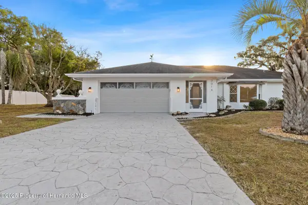 3016 Abeline Road, Spring Hill, FL 34608