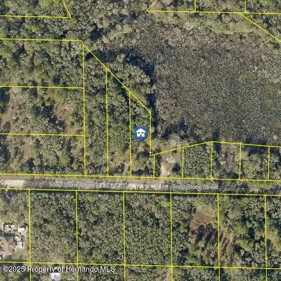 LOT 37 Soap Stone St, Webster, FL 33597 - Image #1