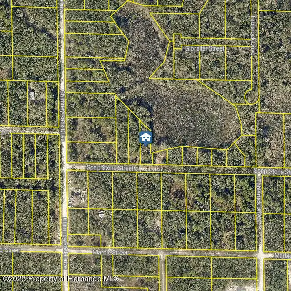 LOT 37 Soap Stone St, Webster, FL 33597 - Image #2