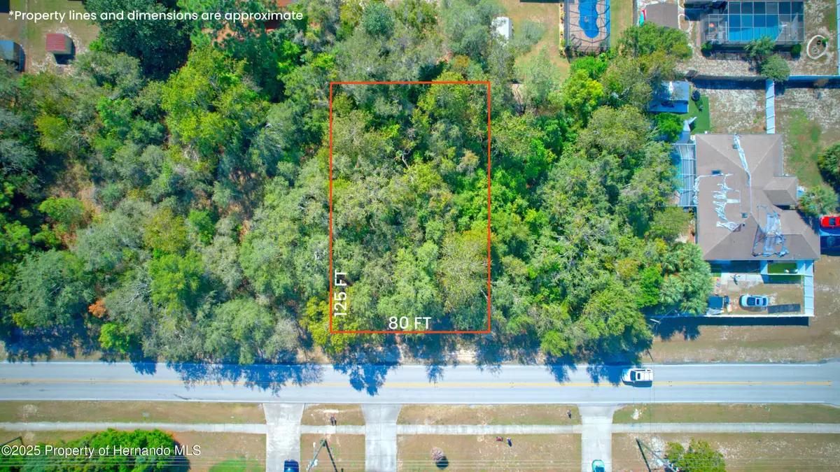 12614 Linden Drive, Spring Hill, FL 34609 - Image #1