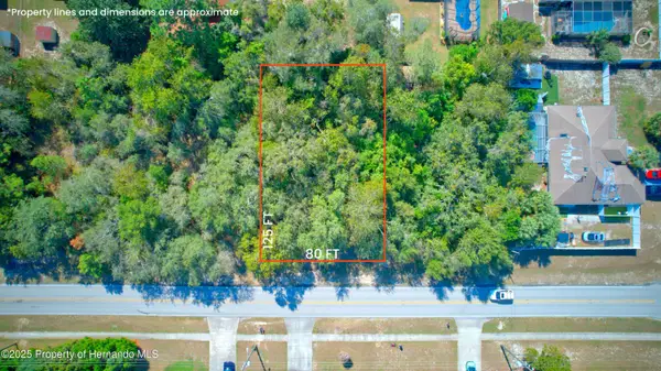 12614 Linden Drive, Spring Hill, FL 34609