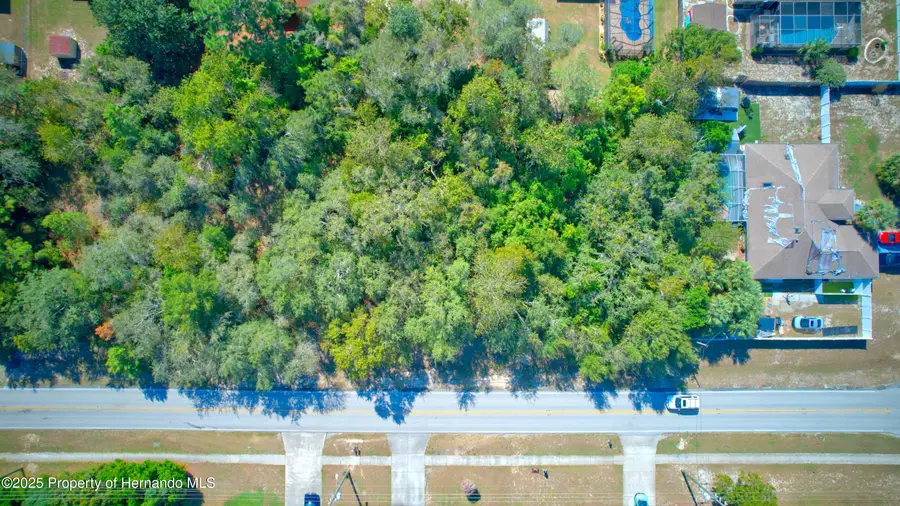 12614 Linden Drive, Spring Hill, FL 34609 - Image #2