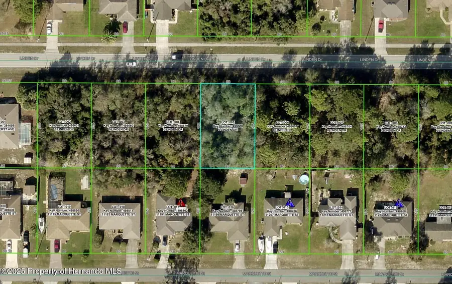 12630 Linden Drive, Brooksville, FL 34609 - Image #3