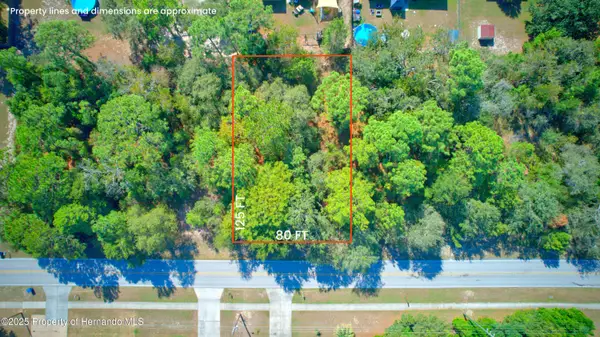 12646 Linden Drive, Spring Hill, FL 34609