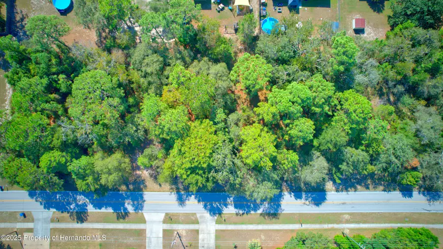 12646 Linden Drive, Spring Hill, FL 34609 - Image #2