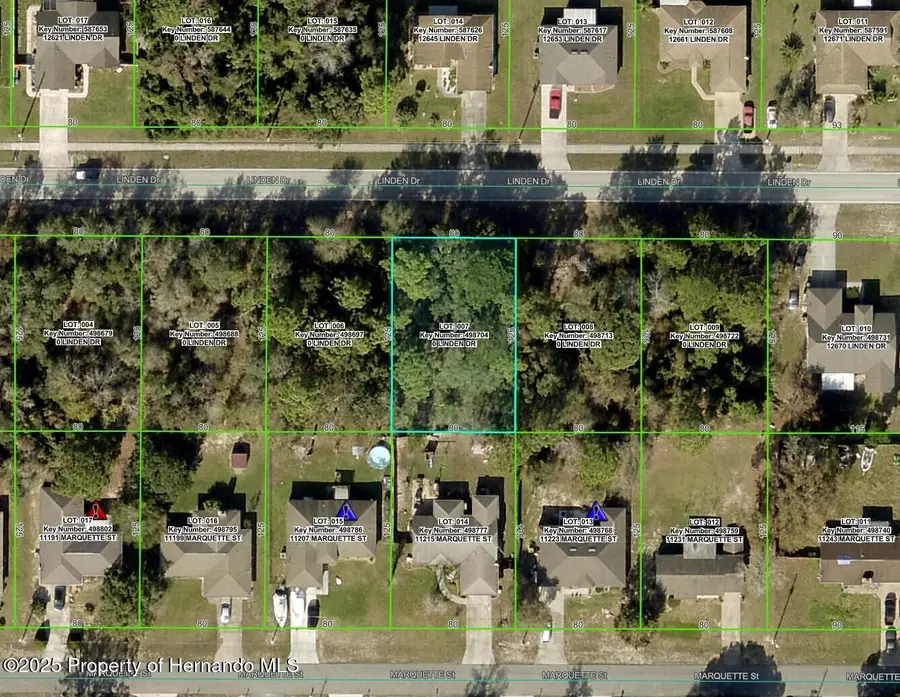 12646 Linden Drive, Spring Hill, FL 34609 - Image #3