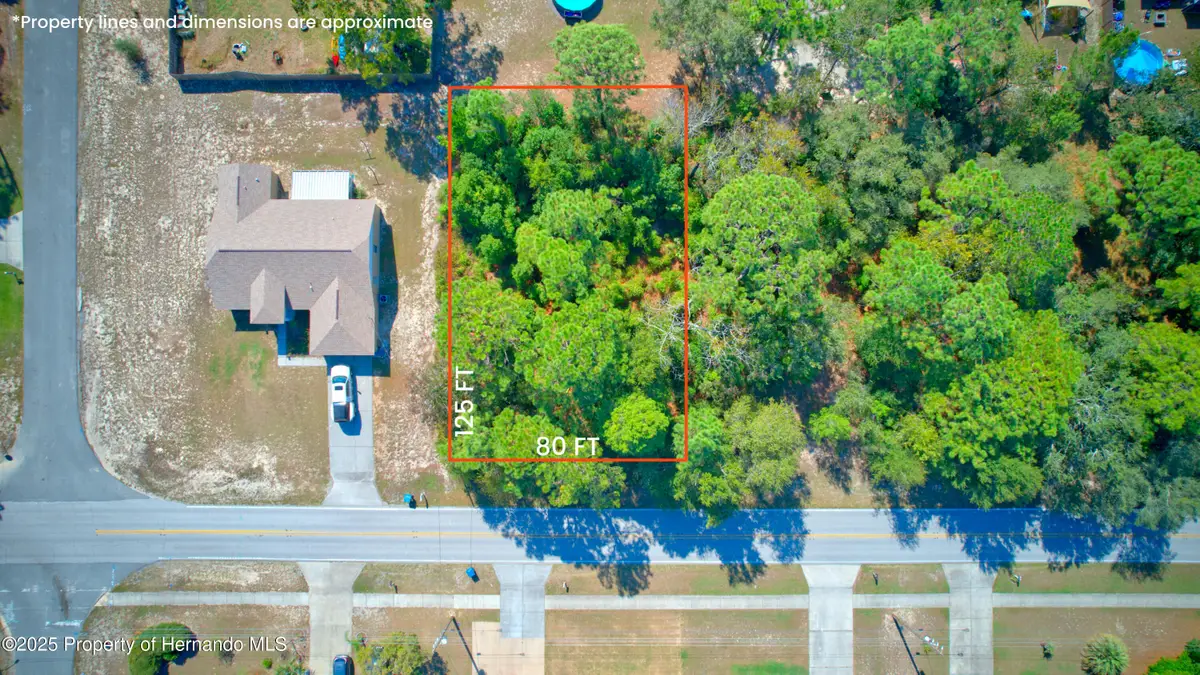 12662 Linden Drive, Spring Hill, FL 34609 - Image #1