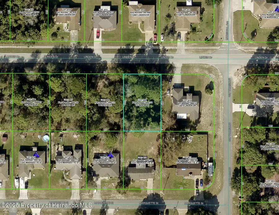 12662 Linden Drive, Spring Hill, FL 34609 - Image #3