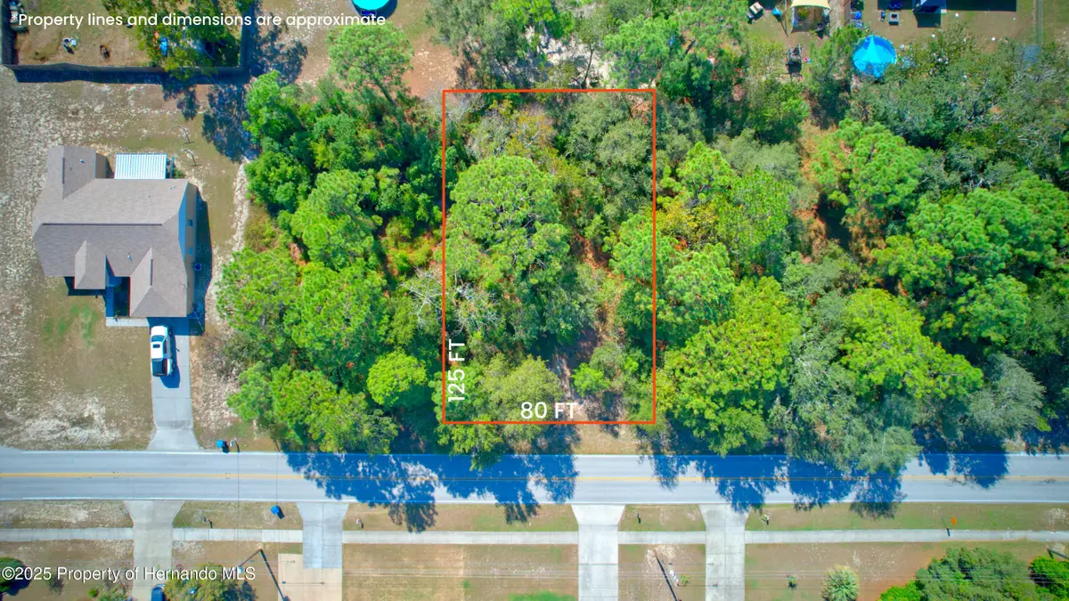 12654 Linden Drive, Spring Hill, FL 34609 - Image #1