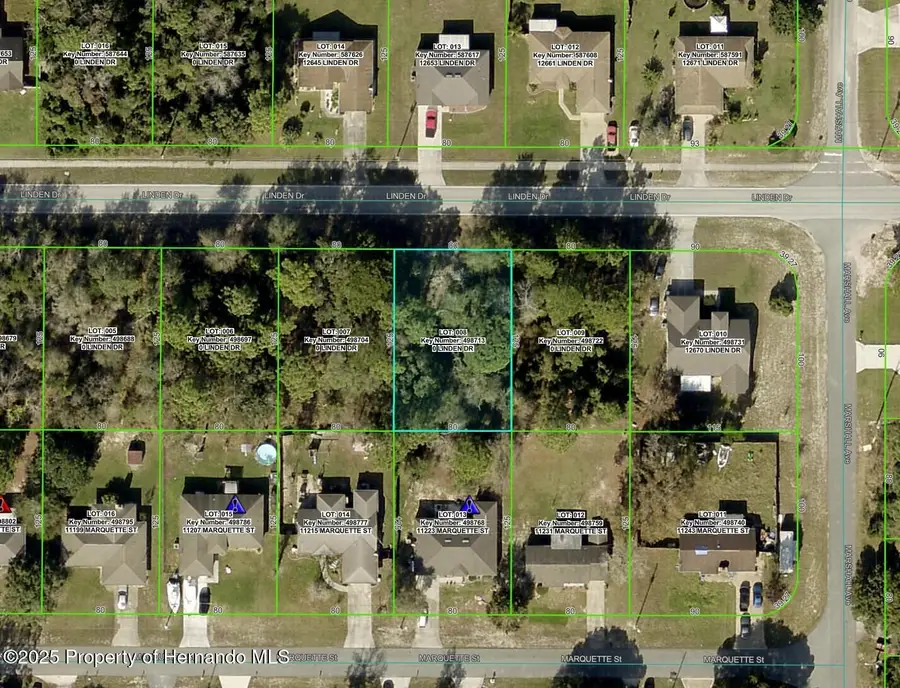12654 Linden Drive, Spring Hill, FL 34609 - Image #3
