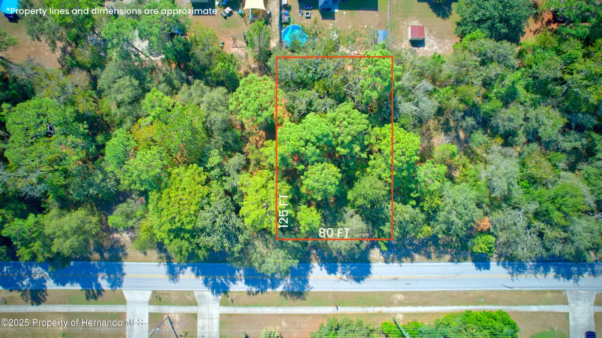 12638 Linden Drive, Spring Hill, FL 34609 - Image #1