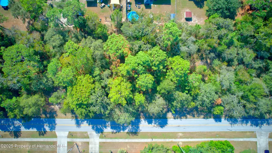 12638 Linden Drive, Spring Hill, FL 34609 - Image #2