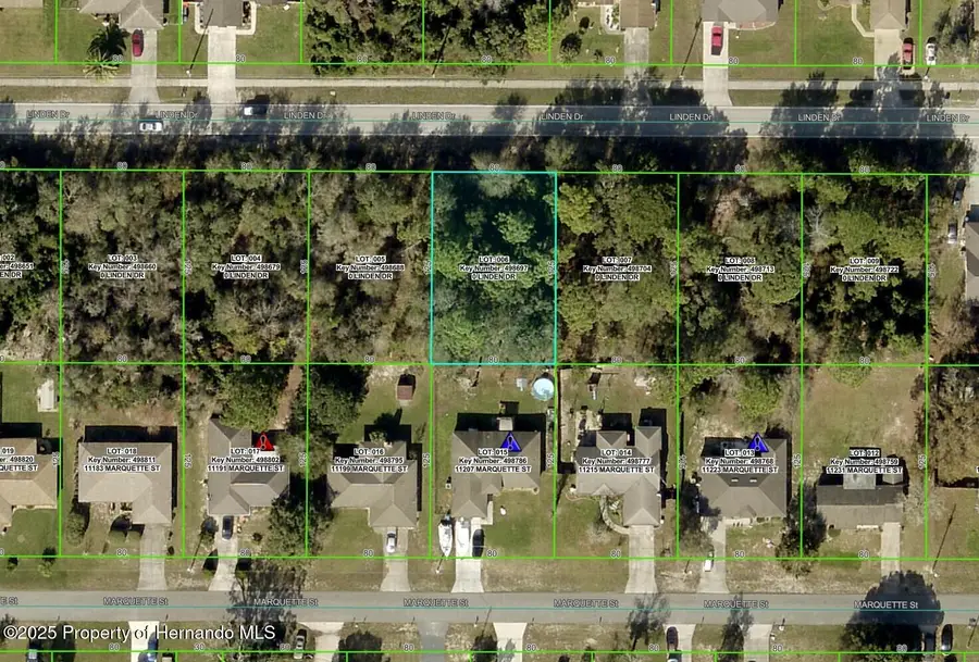 12638 Linden Drive, Spring Hill, FL 34609 - Image #3