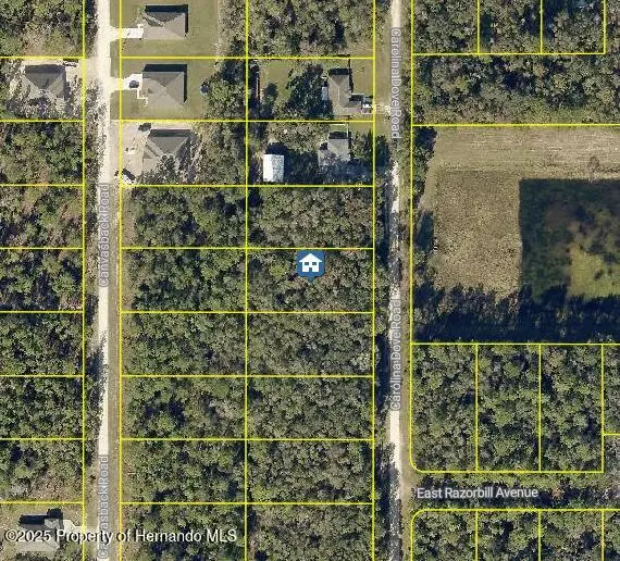 LOT 1021 Carolina Dove Road, Weeki Wachee, FL 34614 - Image #1