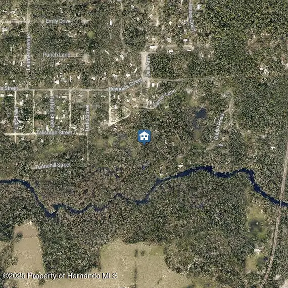 LOT 28 Barth Rd, Dade City, FL 33523 - Image #3