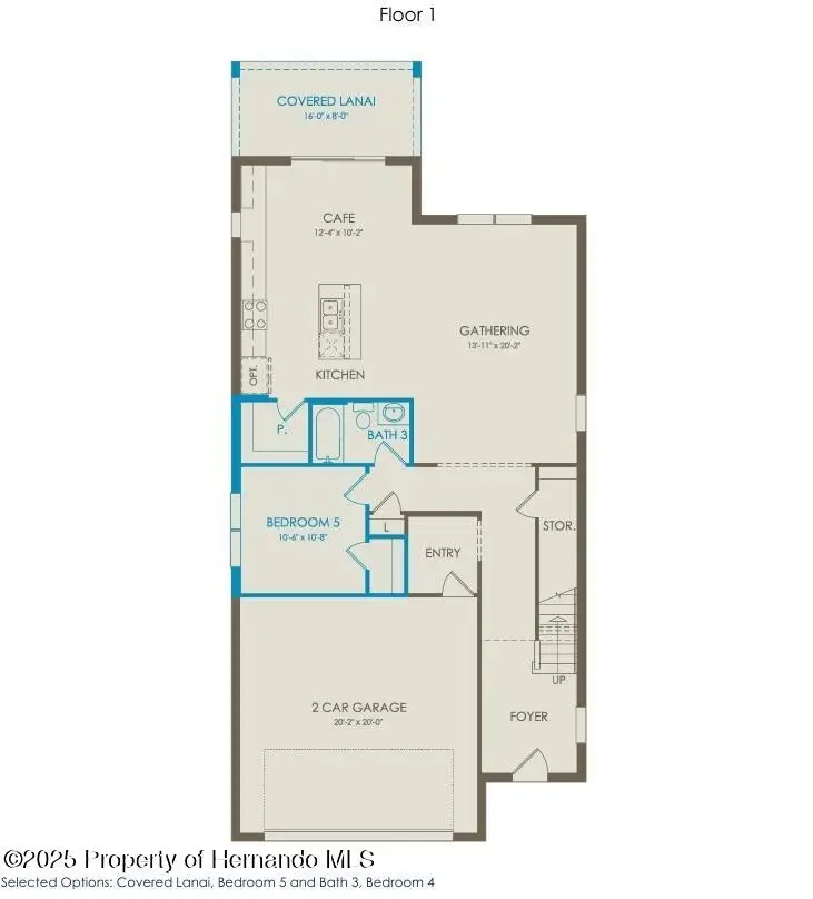 3807 Benham Rise Road, Spring Hill, FL 34609 - Image #2