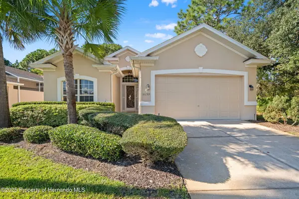 10199 Holly Berry Drive, Weeki Wachee, FL 34613