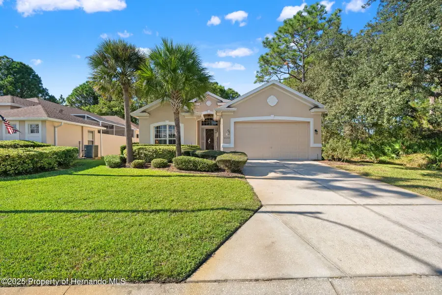 10199 Holly Berry Drive, Weeki Wachee, FL 34613 - Image #2