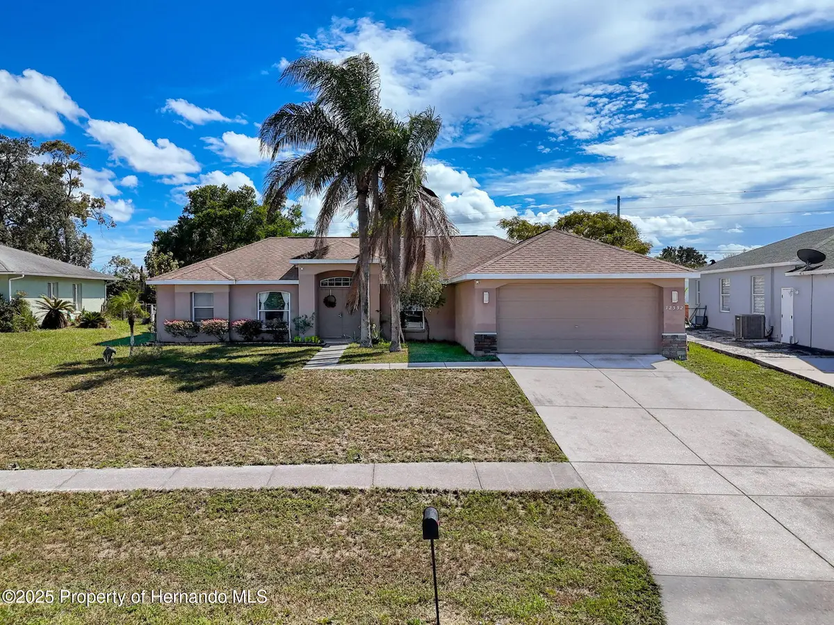 12552 Corrine Avenue, Spring Hill, FL 34609 - Image #1
