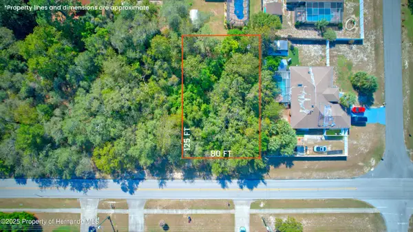 12606 Linden Drive, Spring Hill, FL 34609