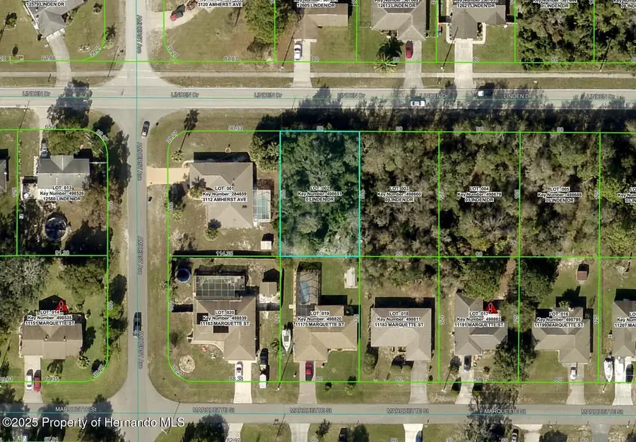 12606 Linden Drive, Spring Hill, FL 34609 - Image #3