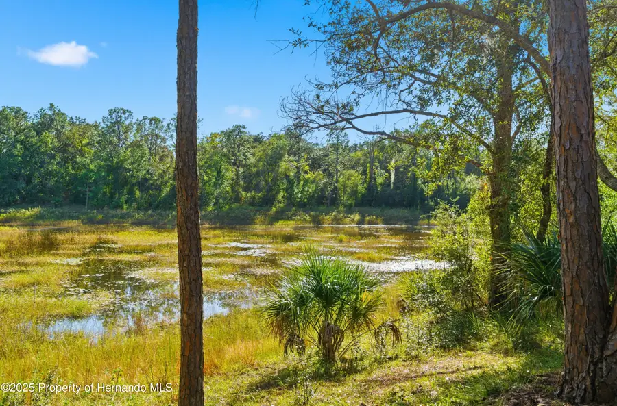 8132 Clipper Court, Spring Hill, FL 34606 - Image #3