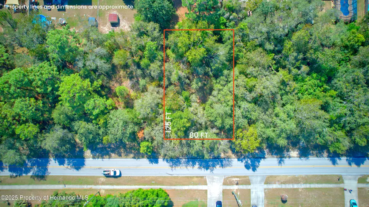 12622 Linden Drive, Spring Hill, FL 34609 - Image #1