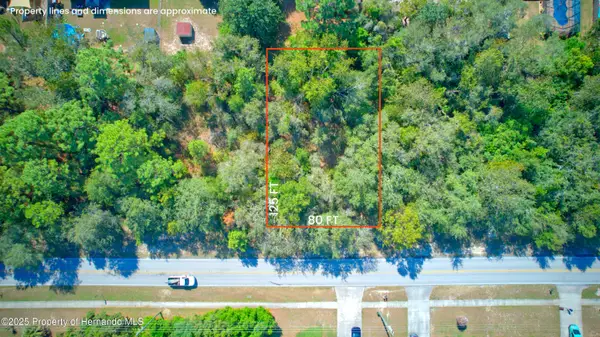 12622 Linden Drive, Spring Hill, FL 34609