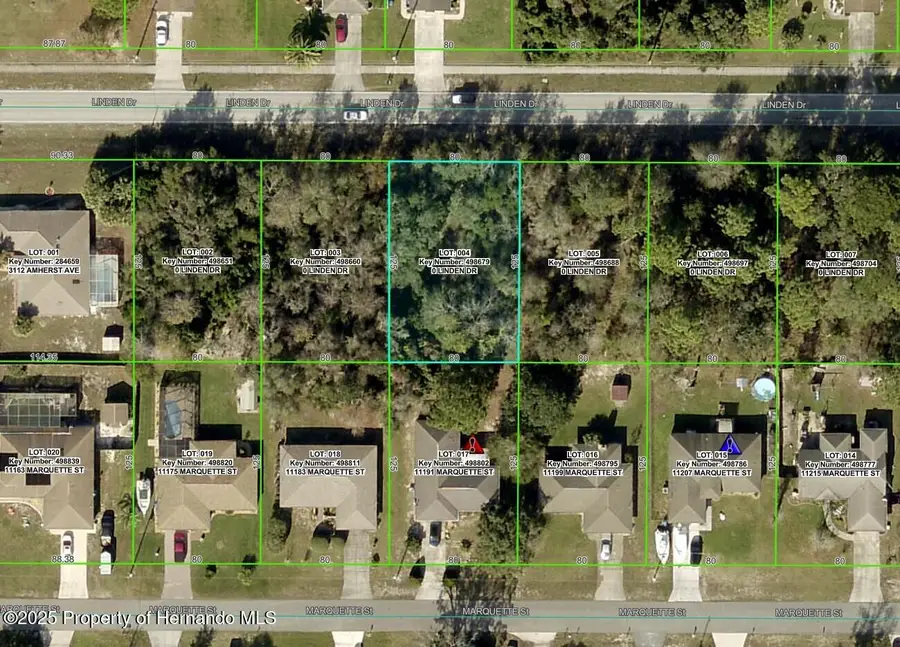 12622 Linden Drive, Spring Hill, FL 34609 - Image #3