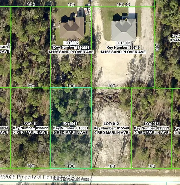 Lot 11 Red Marlin Avenue, Weeki Wachee, FL 34614