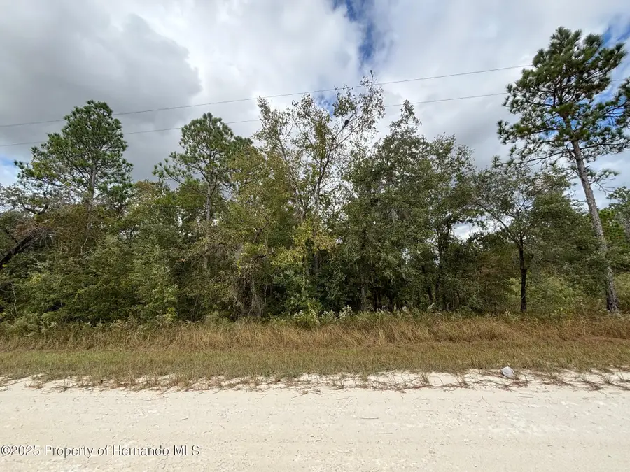 Lot 11 Red Marlin Avenue, Weeki Wachee, FL 34614 - Image #2