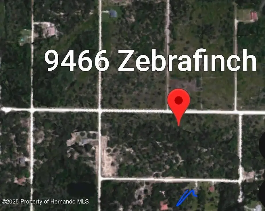 09466 Zebrafinch Avenue, Brooksville, FL 34614 - Image #1