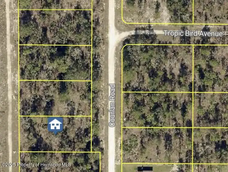 0 Courlan Road, Weeki Wachee, FL 34614 - Image #2