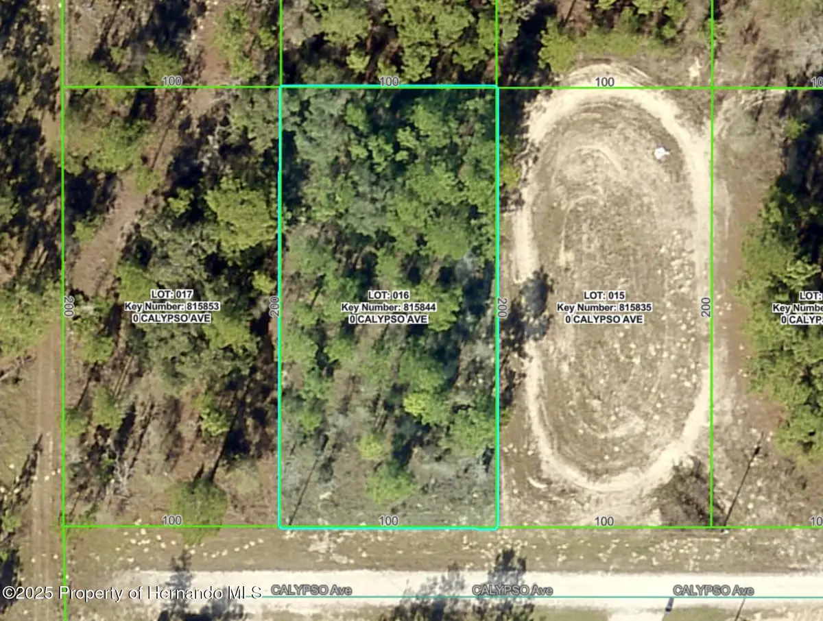 Lot 16 Calypso Avenue, Weeki Wachee, FL 34614 - Image #1